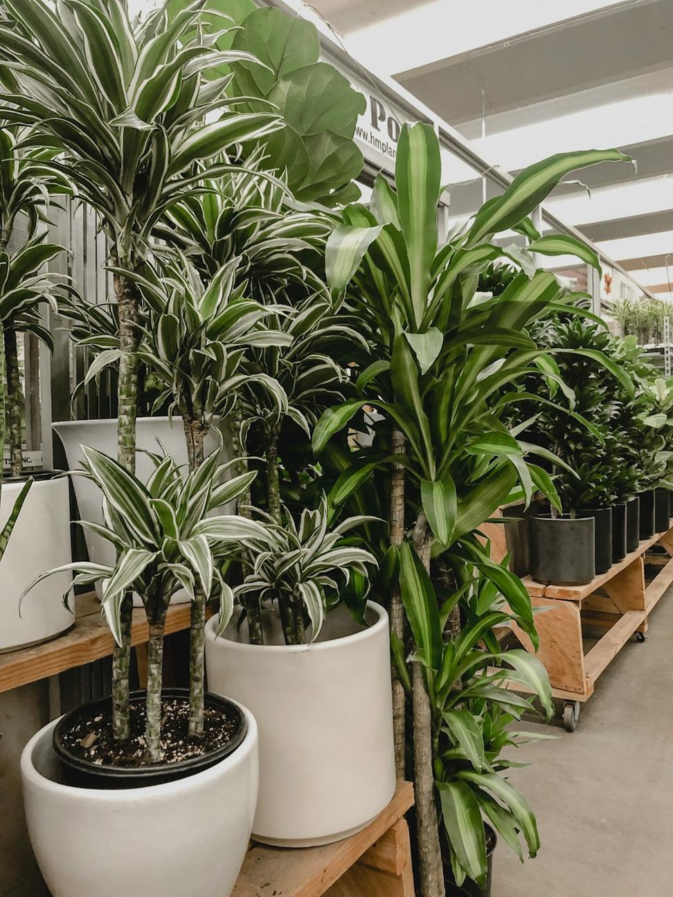 EcoTech Campus