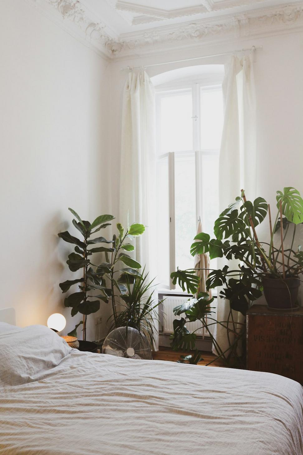 Urban Minimalist Loft